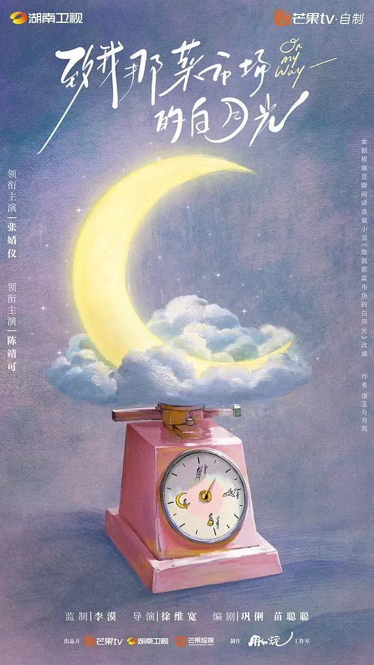 致我那菜市场的白月光在哪看海报