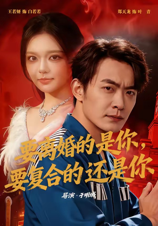 要离婚的是你，要复合的还是你海报