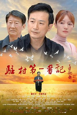 驻村第一书记海报