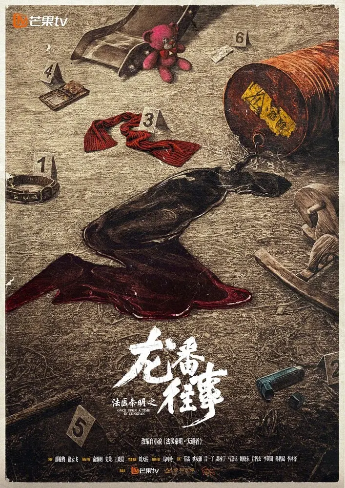 法医秦明之龙番往事海报
