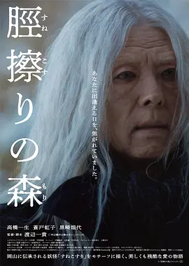 胫擦之森海报