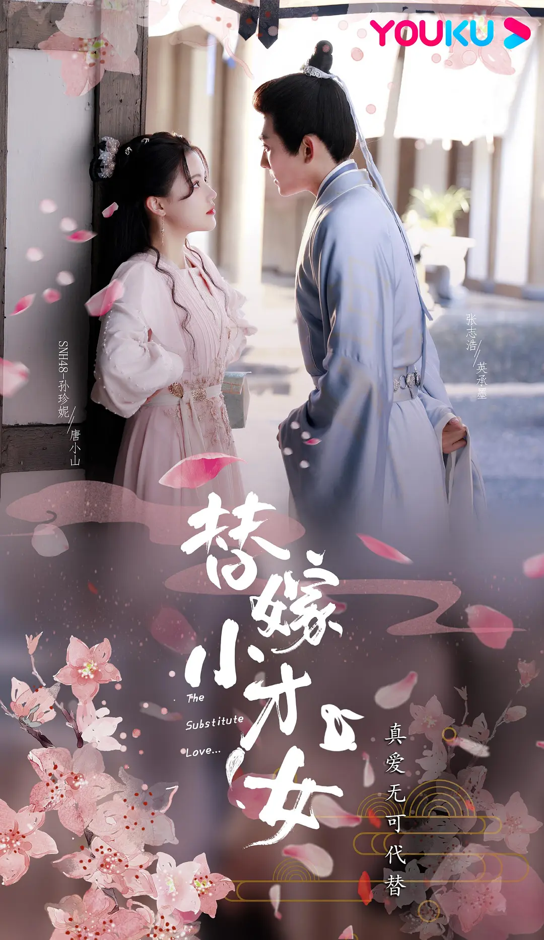 替嫁小才女全集版海报
