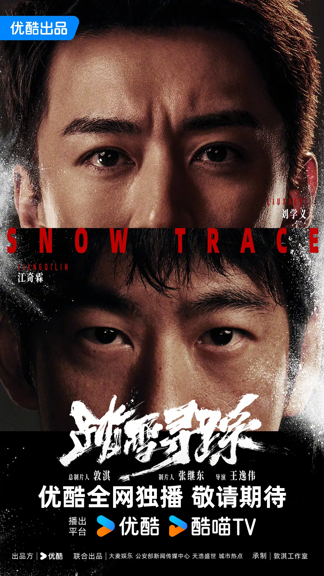 踏雪寻踪海报