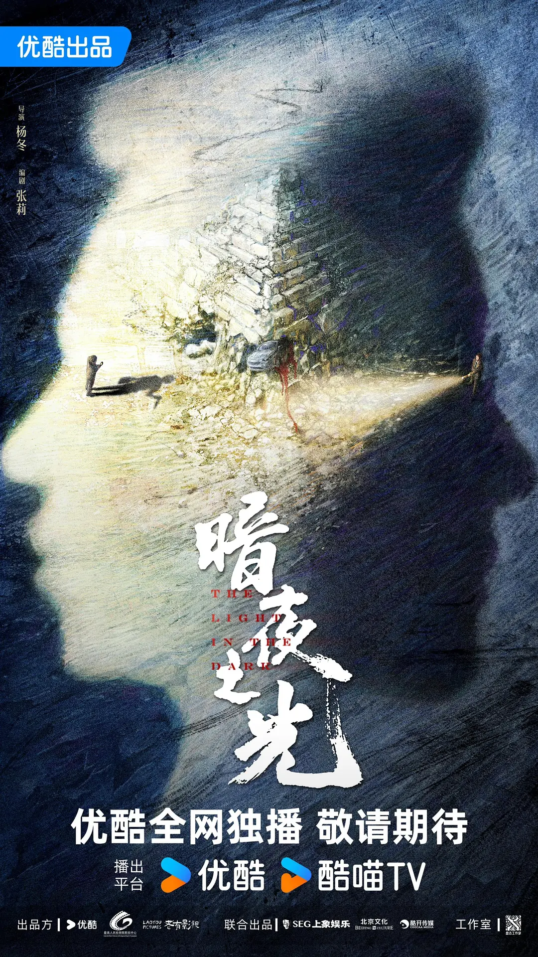 暗夜之光海报