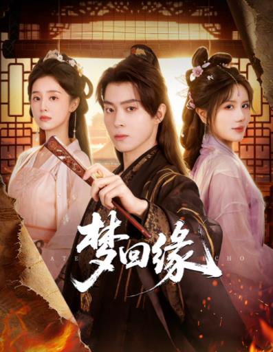 梦回缘海报