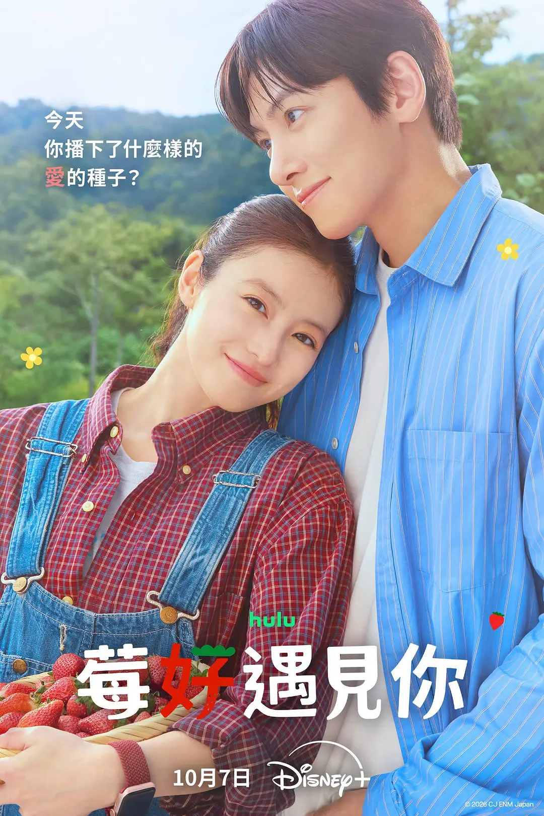 爱上草莓的季节海报