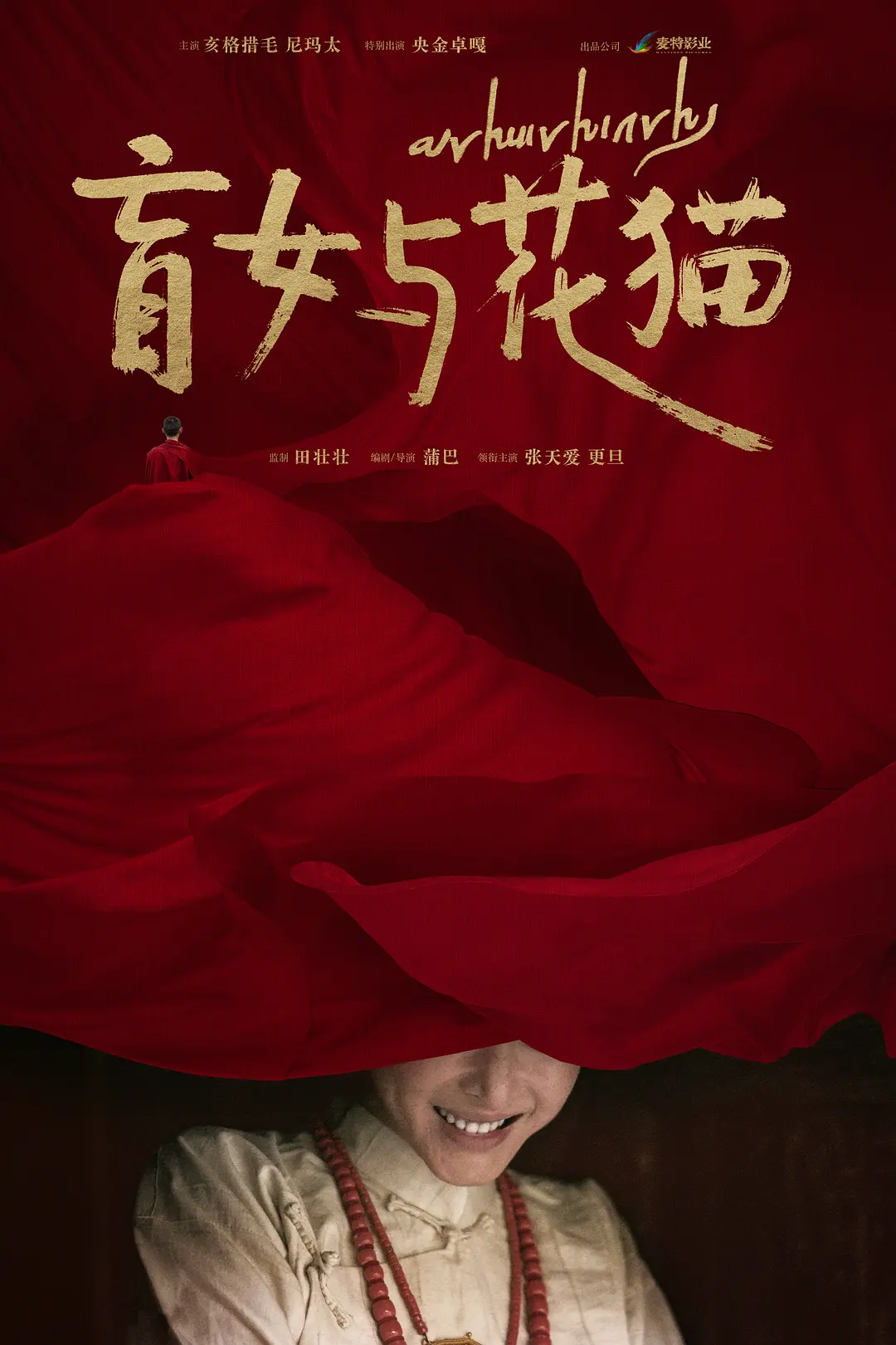 盲女与花猫海报