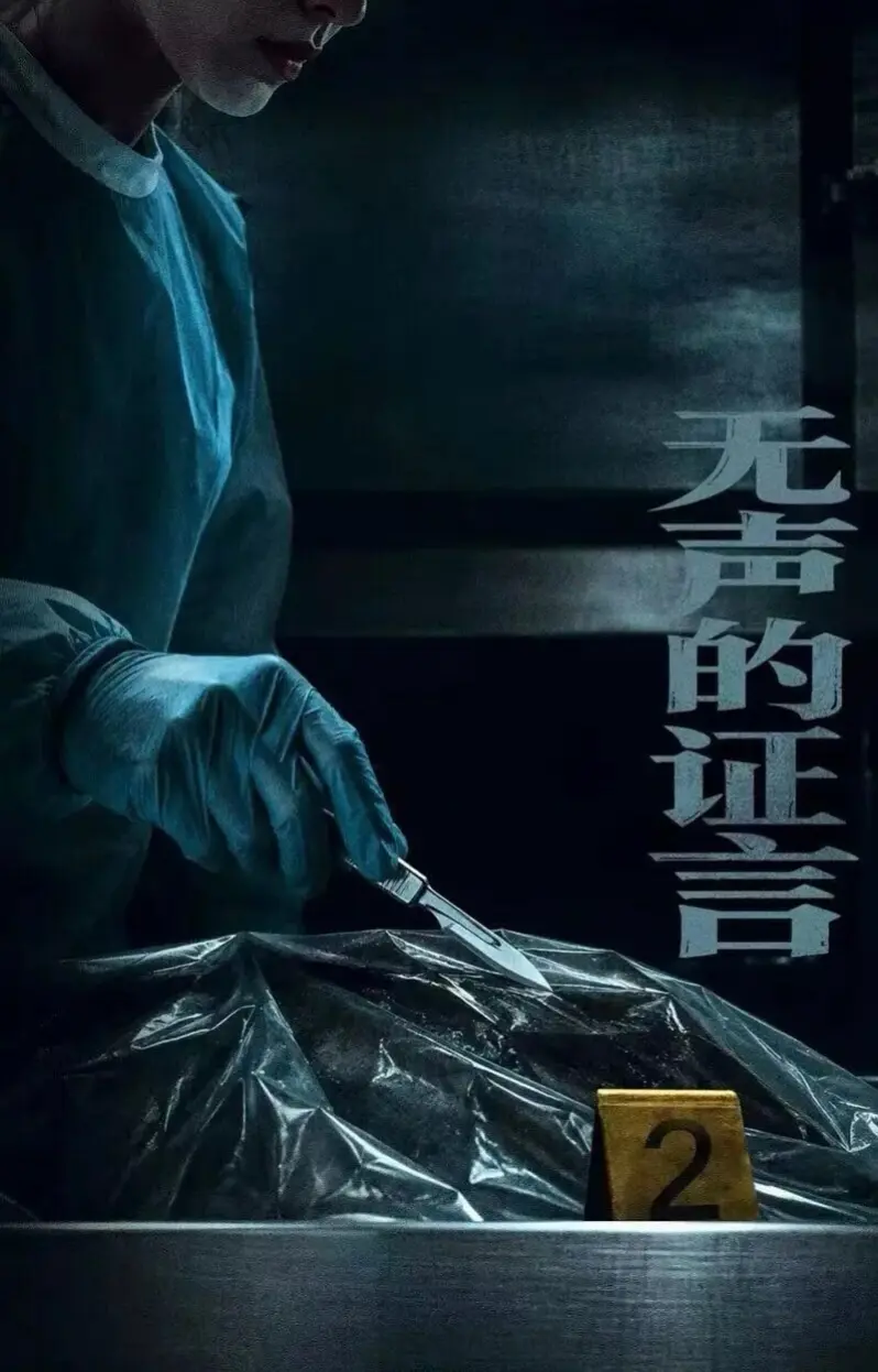 无声的证言海报